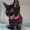 Photo of Ebonee