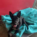 Photo of Jake