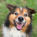 Photo of Toot