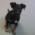 Photo of Burt 