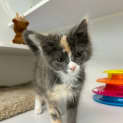 Photo of Fleur