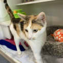 Photo of Leela