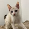 Photo of Lilah