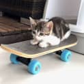 Photo of Sofie