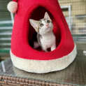 Photo of Sofie