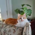 Photo of Matilda