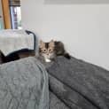Photo of Leo Boy
