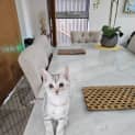 Photo of Sylvie