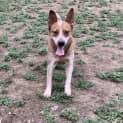 Photo of Rosco