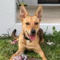Photo of Hazel