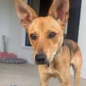 Photo of Hazel