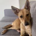 Photo of Hazel