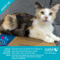 Photo of Studly Boy & Pretty Girl 2 For 1 Mum & Bubs Deal!
