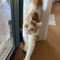 Photo of Smudge