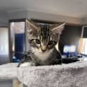 Photo of Rowdy