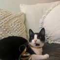 Photo of Uno