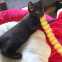 Photo of Ernie
