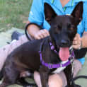 Photo of Zeus