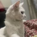 Photo of Gemma