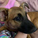 Photo of Jessie