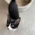 Photo of Taco