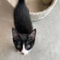 Photo of Taco