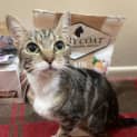 Photo of Pixie