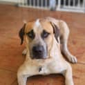 Photo of Clifford