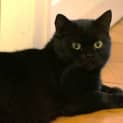 Photo of Betty Lou