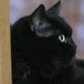 Photo of Betty Lou
