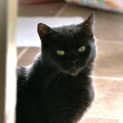 Photo of Betty Lou