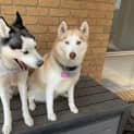 Photo of Echo & Octavia