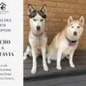 Photo of Echo & Octavia
