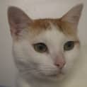 Photo of Theon