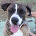 Photo of Max