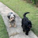 Photo of Barney & Bonnie