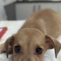 Photo of Thor