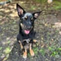 Photo of Midnight