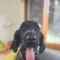 Photo of Fooie