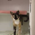 Photo of Molly