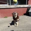 Photo of Lotti