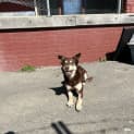 Photo of Lotti