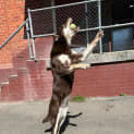 Photo of Lotti