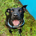 Photo of Missy