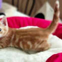 Photo of Emmy