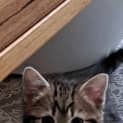 Photo of Winnie