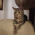 Photo of Winnie