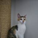Photo of Sarah