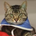 Photo of Tripod