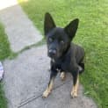 Photo of Allegro